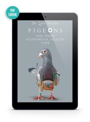 Pigeons and their Economical Health Care eBook
