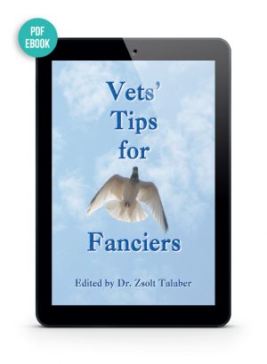 Vets’ Tips for Fanciers Ebook