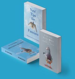 pigeon-books-banner